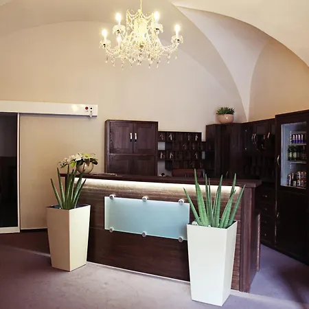 Hotel U Hradu Mladá Boleslav